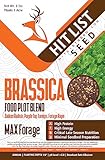 HIT LIST SEED® Brassica Food Plot Seeds for Deer [Annual Mix] - Food Plot Seed Brassica - Deer Plot Seed Mix - Daikon Radish, Purple Top Turnips, Forage Brassica - Fall Planting - 6 lbs (1 Acre)