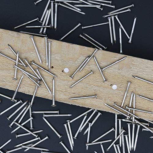 Image of JEGONFRI 900PCS 3 /4 inch Nickel Flat Head Nails for Hanging Pictures & Woodwork | Premium Carbon Steel Build, Rust-Resistant Nickel Finish, Consistent Size & Strength