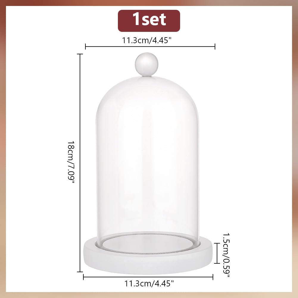 PH PandaHall Glass Dome with Base Cloche Cloche Bell Jar Display Dome Case Glass Decoration Bottles for Plants Flower Display Clay Succulents Storage Home Party Favor Decoration 3.5x7 inch
