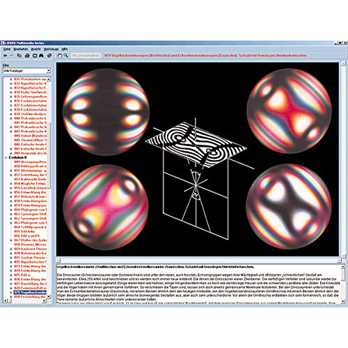 Image of 3B Scientific GmbH W13541 The Structure of Matter I