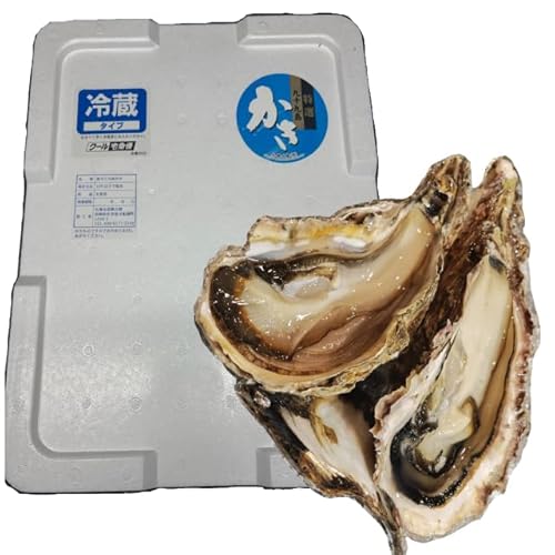��K�L �k�t�����y ���茧��\�㓇�Y (LL�i350-500g�j, 15kg)