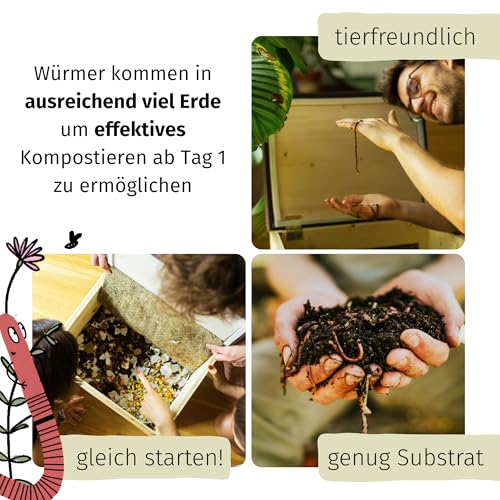 Kompostwürmer von WORMSYSTEMS – 500 Stück mit 5 Litern Kompoststarter