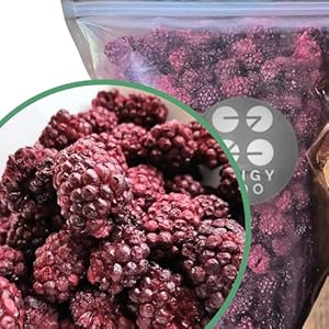 Brombeeren Gefriergetrocknete Früchte Ohne Zucker | XL 350g Natürlich Ungezuckert Blackberry Trockenfrüchte mach dein Brombeerpulver | Natural Freeze Dried Fruit | Obst Gefriergetrocknet | ZingyZoo
