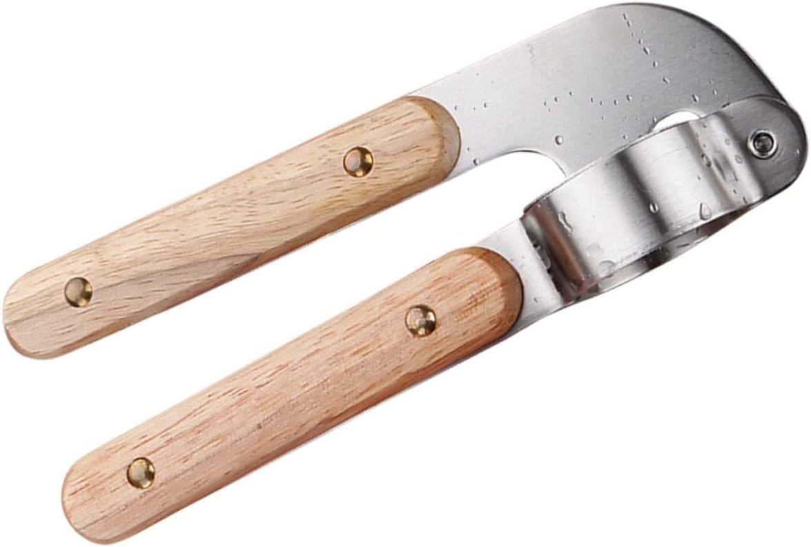 TIDTALEO Stainless Steel Garlic Press Garlic Accessory Multi Vegetable Chopper Kitchen Garlic Maker Multitools Mincer Vegetable Peeler Stainless Steel Garlic Masher Grinder Ginger