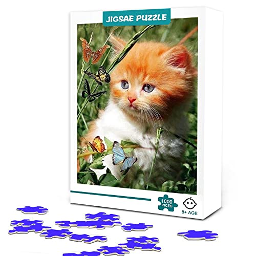 Rompecabezas de 300 Piezas para Adultos Rompecabezas Adultos Colorido Juego de Habilidad Cover