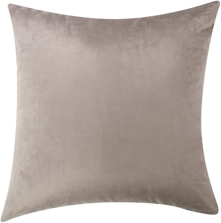 yoyoKMC Solid Velvet Throw Pillow Cover/Euro Sham/Cushion Sham, Super Luxury Soft Pillow Cases, Many Color & Size Options-(Silver Grey, 20" 20")