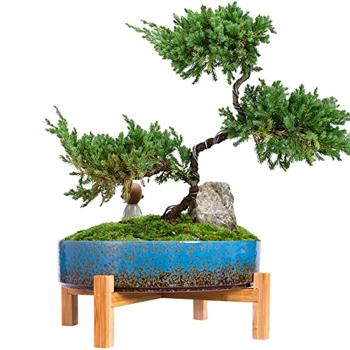 ARTKETTY Macetas de cerámica para bonsái de 29 cm con Drenaje, Maceta Grande para Plantas suculentas de Interior, Maceta Decorativa con Soporte