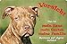 Produktbild +++ American PITBULL Pit Bull Terrier - Metall WARNSCHILD Schild Hundeschild Sign - APT 01 T1