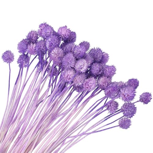 Flores Secas Mini Pine Ball de 40 cm, 60 piezas miniatura 1