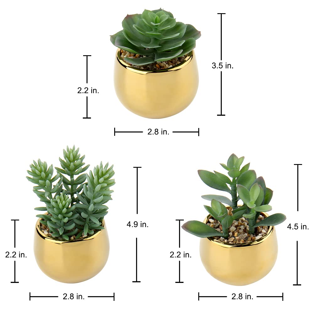 Plante Artificielle Bégonia Versicolor En Pot Céramique | Fausse Plante Décorative Réaliste 20 Cm | Pour Maison, Bureau
