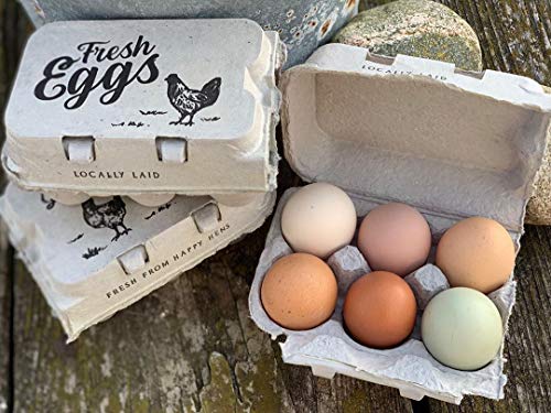 Half Dozen Empty Egg Cartons- 15 Full Dozen Can Split to 30 Half Dozen Size Cartons- Securely Holds 6 or 12 Extra Large Eggs - Thumbnail 4