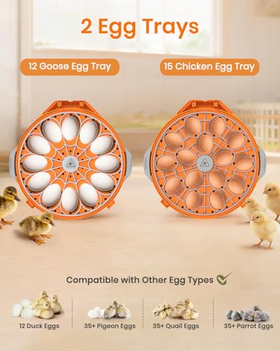 Incubators for Hatching Eggs,15 Egg Incubator with Automatic Egg Turner,Temperature & Humidity Control，Egg Candler,Incubators with 2 Trays, 360° Viewing for Hatching Chicken Duck Goose Quail Bird - Thumbnail 6