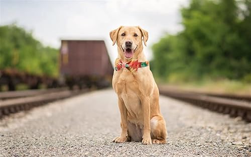 Miniatura 3 de Unqiue Style Paws - Collar para perro, suave y lindo corbatín para perro, collar duradero para mascotas con lazo ajustable para perros grandes