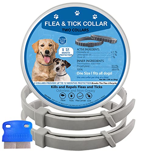 Flea And Tick Collar For Dogs & Puppies | 2 Pack | Soft & Comfortable Flea & Tick Prevention I Adjustable One Size Collar Fits All Dogs #TOP6