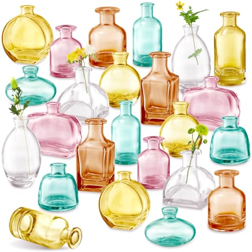 Color Bud Vases in Bulk - Set of 24 Mini