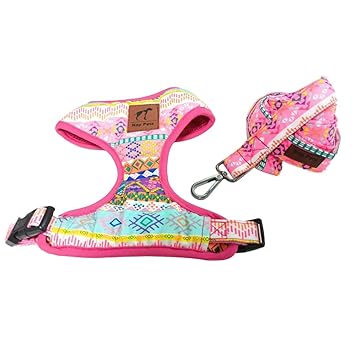 NAPPET Cat Harness with Leash Adjustable Soft Mesh Vest for Walking-(Chest Girth 14 x 16, Neck Girth 10 x 13) Medium Size