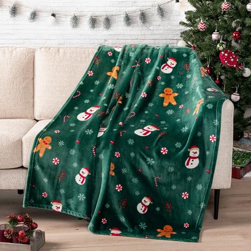 PAVILIA-Christmas-Gingerbread-Throw-Blanket-Green-Holiday-Christmas-Fleece-Blanket-Soft-Plush-Warm-Winter-Cabin-Throw-50x60-Green-Gingerbread