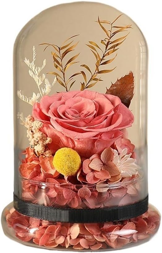 Dry Flower Bundle Eternals Glass Cover Gift Box Wedding Birthday for Girlfriend and Wife