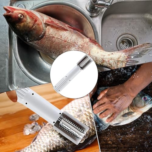Décapeur d'écailles de poisson électrique et étanche pour silures et préparation en restaurant - 5