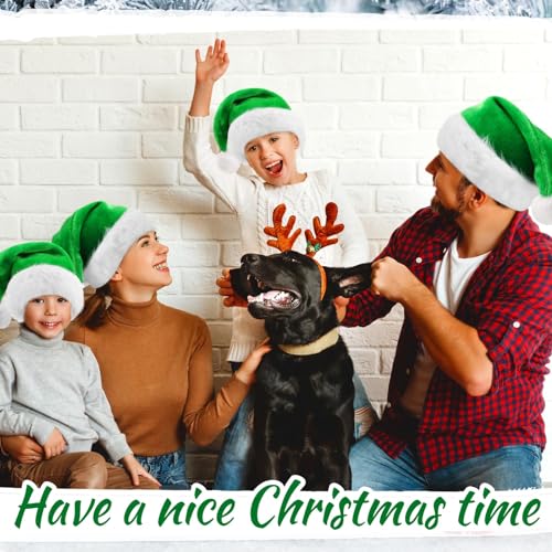 Image of Vicenpal 20 Pcs Santa Hats Bulk Plush Christmas Hats for Adults Women Men Holiday Party Costume(Green)