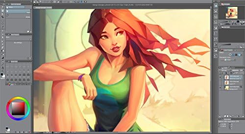CLIP STUDIO PAINT PRO - NEW Branding - for Microsoft Windows and MacOS