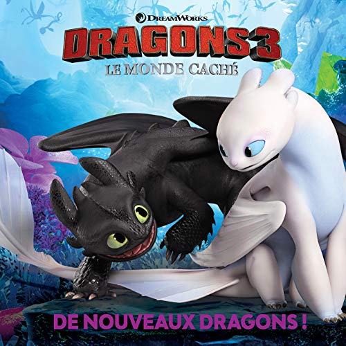 Dragons 3 - Histoire brochée [French] 2011562058 Book Cover