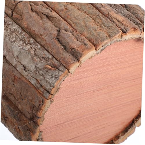 Souche arbre robuste pour intérieur extérieur et décoration
