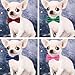 VICTHY Pet Bow Tie, Colorful Polka Dots Adorable Collar Butterfly Knot Puppy Adjustable Bow Ties for Dogs/Big Cats/Other Pets