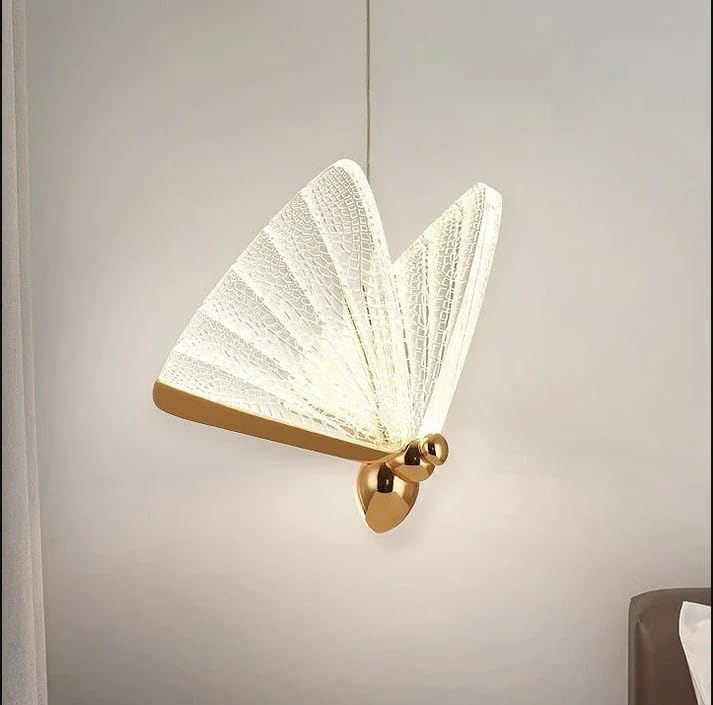 CORAL TREE Elegant Brass & Acrylic Wall Sconce Light | Modern Brass Wall Lamp with Transparent Acrylic Shade | Designer LED Wall Sconce for Living Room, Bedroom & Hallway