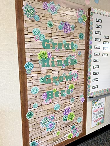 Succulentes Rustic Bloom multicolores pour illuminer votre bureau de travail