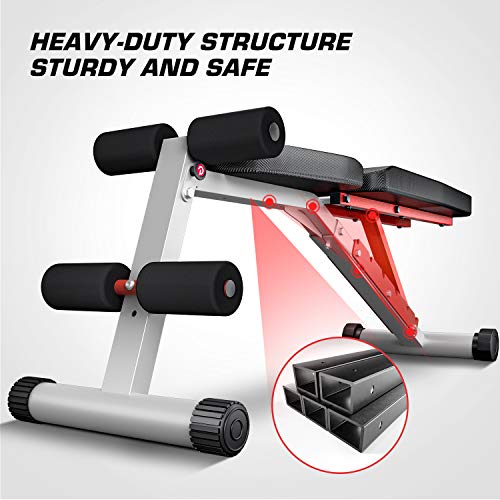 Pelpo Weight Bench for Full Body Workout, Adjustable Workout Bench Press for Home Gym Strength Training, Incline Decline Utility Weight Bench with 6 Positions, Silver Frame