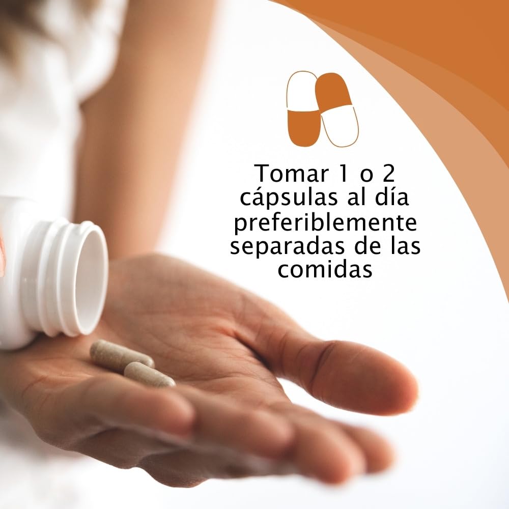 MICOTHERAPHY Cordyceps Sinensis 90 Cápsulas Mejora la Vitalidad, Aumenta la Energía, Mejora el Estrés Físico y Mental, Reduce la Inflamación, Mantiene los Niveles Hormonales en Equilibrio