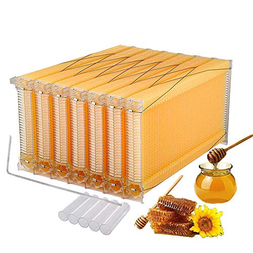 Guoyajf Honeycomb Beehive Wax Frames Auto Collecting Honey Bee Hive para La Caja De La Colmena, 7PCS