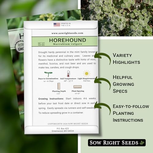 Sow Right Seeds - Horehound Seeds for Planting - Grow Your Own Marrubium Vulgare - Heirloom Non-GMO Variety - Easy to Grow - Perfect for Herbal Remedies & Tea - Ideal in Pollinator Gardens (2) - Image 2