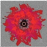 FIVE SUNS