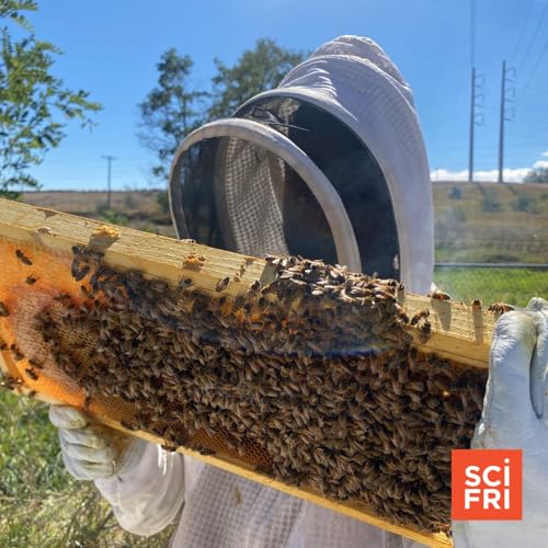 Inside The Race To Save Honeybees From Parasitic Mites Podcast Por  arte de portada