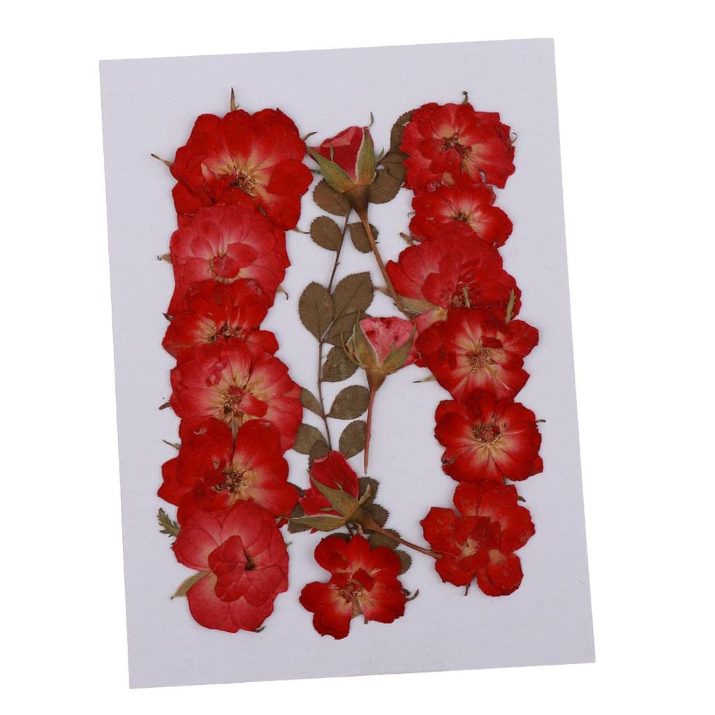 Mixed Natural Pressed Dried Rose Flower Leaves DIY Scrapbook Craft 2-2.5cm |Crafts | Home Arts & Crafts | Floral Crafts | Dried Botanicals & Potpourri | Dried Flowers-image-37