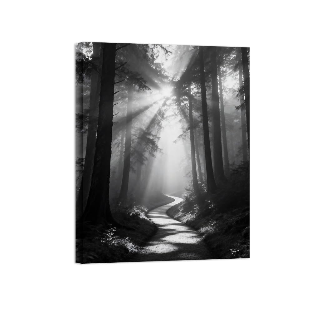 OZPWBVY Black and White Landscape Print Painting-Forest Path Sunshine 2-Minimalist Canvas Wall Art Picture for Home Ready to Hang 24x31in 60x80cm Wrapped Canvas