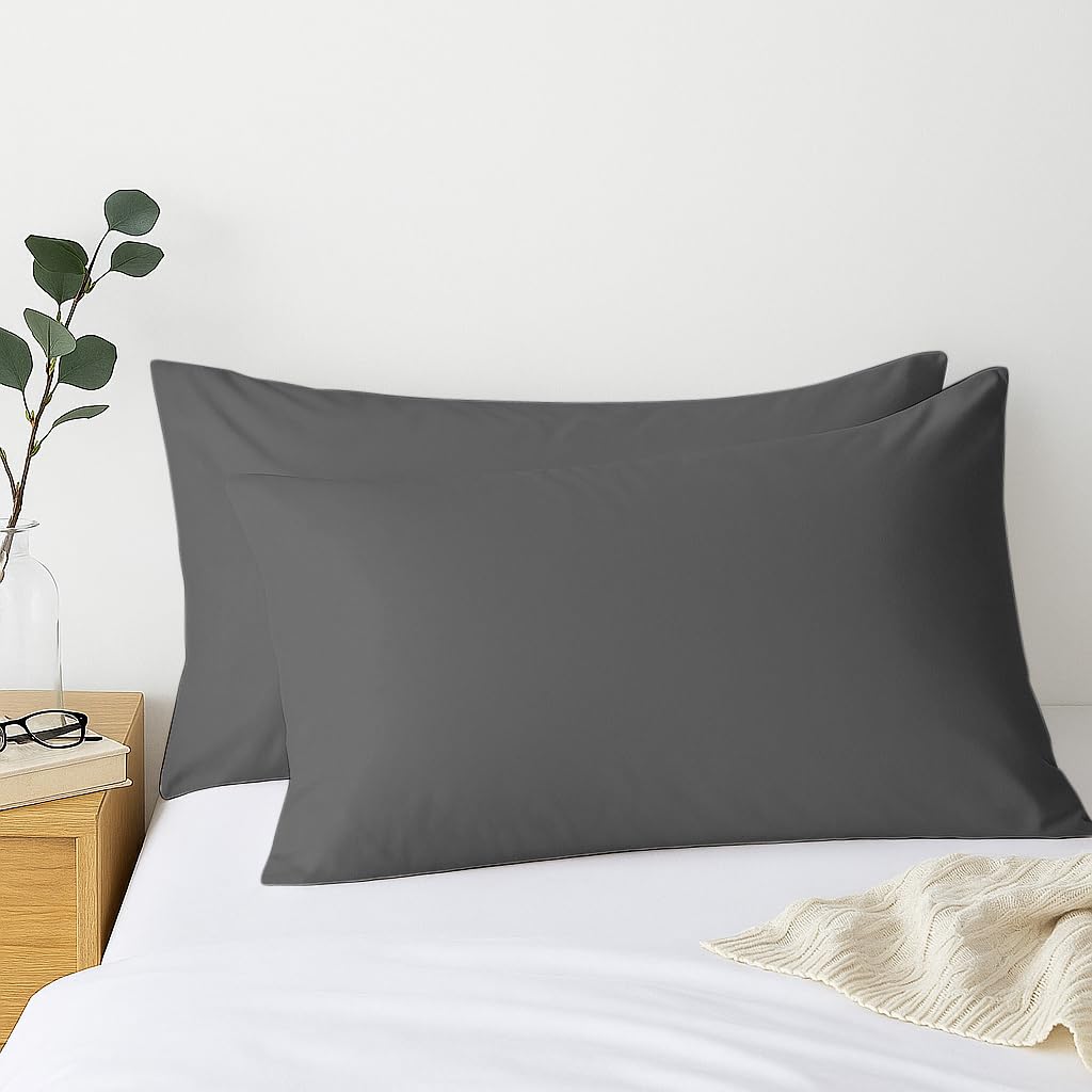 Comfort Beddings Qualité D'exportation 450 Fils Au Pouce Carré 100% Coton égyptien Taies D'oreiller Continentales Décoratives Paquet De 2 - Rose Blush (décoratif/Taille Carrée 60 X 60 Cm