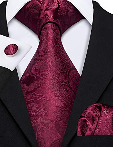Image of Barry.Wang Men Suspender Set with Necktie Elastic Y Type Heavy Duty 6 Clips Braces Tie Handkerchief Cufflink Pin 6PCS