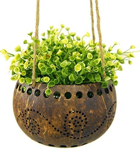 Set of 2 Pieces Garden Decorative Coconut Shell Hanging Flower Plant Pot Diameter 4".