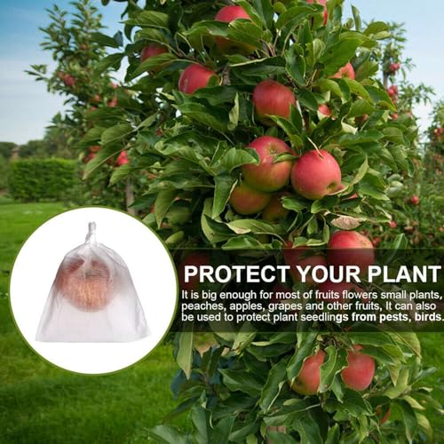 Evita plagas en tu huerto con 1000 bolsas de red para proteger frutas y plantas 4