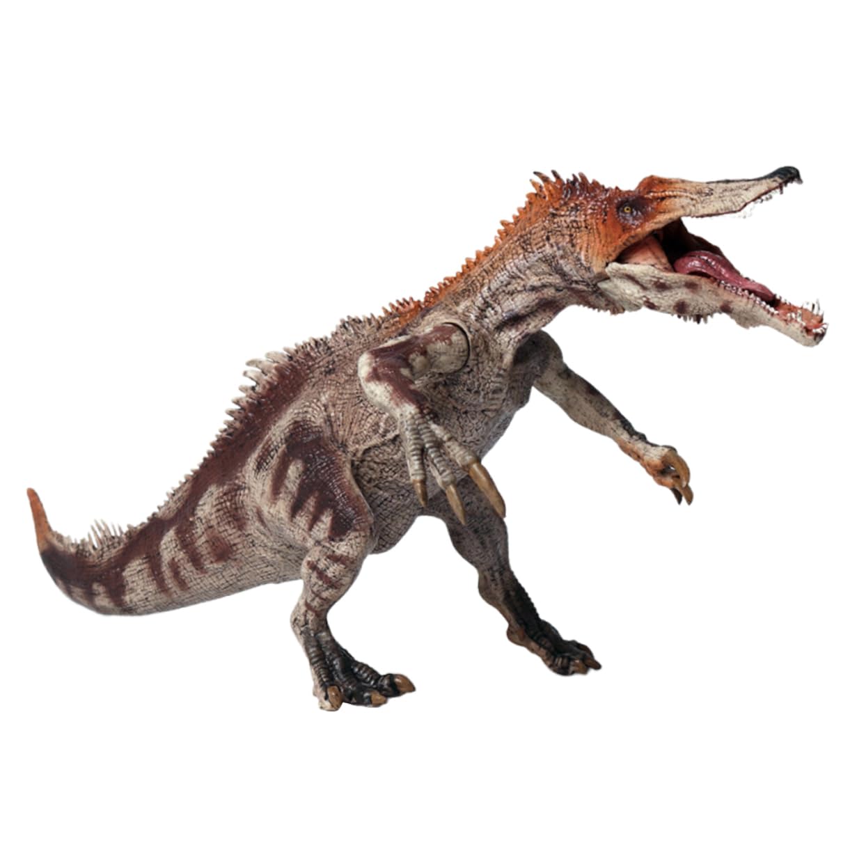 1 Pz Baryonyx Educativo per Design Realistico e Chic per Feste Compleanno e Decorazioni