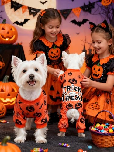 Hund Halloween Pyjamas Weiche Halloween Hundekleidung Kürbis Hunde Pjs Onesie mit Füßen Welpen Pyjamas für Kleine Mittlere Hunde Junge Mädchen Katze Bekleidung S