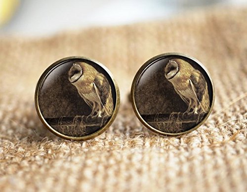 chen jian xin Uil Manchetknopen, Steampunk Uil Manchetknopen, Uil Tie Clip - Image 3