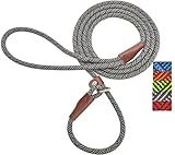 Mycicy Slip Lead Dog Leash, 1/4' x 5ft Small Dog Training Leash No Pull Slip-on for Small Medium Dogs (Black)