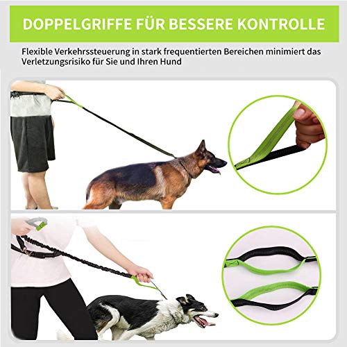 Hunde-Joggingleine Pet Room Premium – Verstellbare Führleine für Aktivitäten