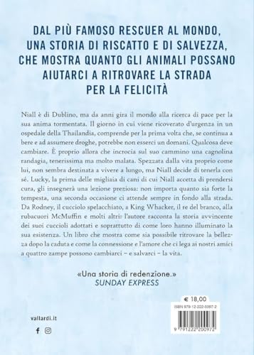 Alla Fine Della Strada L'arcobaleno. Come I Cani Randagi Mi Hanno Illuminato La Vita - 2
