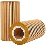 BAIZHIHUA 1948921PE Oil Filter Replaces 1948921, 57370, LF16233, P550812, LP6043, P40019, 1629393,