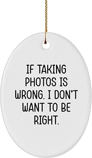 Funny Taking Photos Gifts: Encouraging Humorous Oval Ornament for Taking Photos Enthusiasts, Ideal Gifts for Photographers, Cameras, and Photography Lovers at Christmas Time
